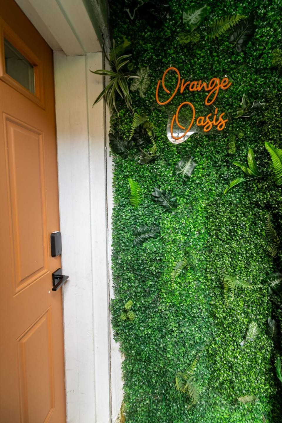 VIBES! Free Parking, Piano, King Bed House in District of Columbia