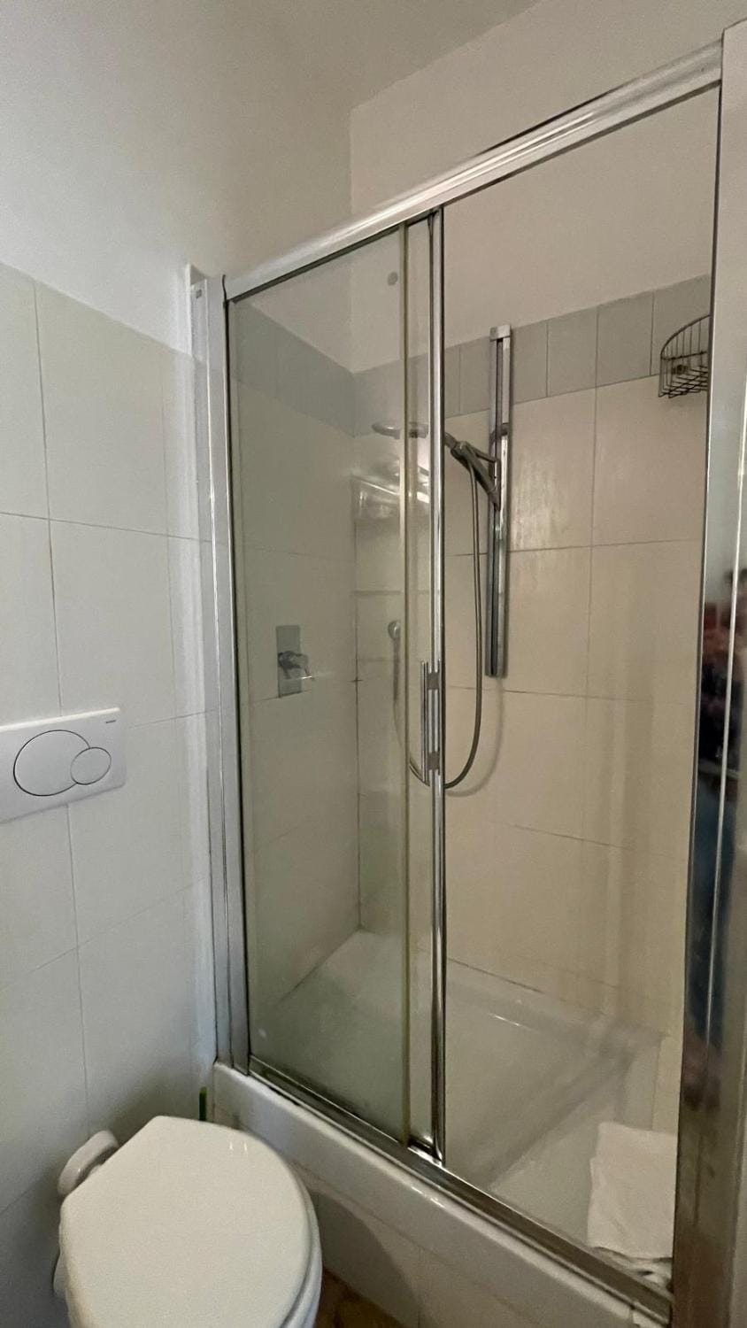 Shower, Toilet, Bathroom, towels
