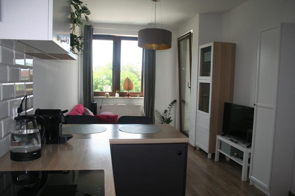Communal lounge/ TV room, TV and multimedia, Kitchen or kitchenette, Living room