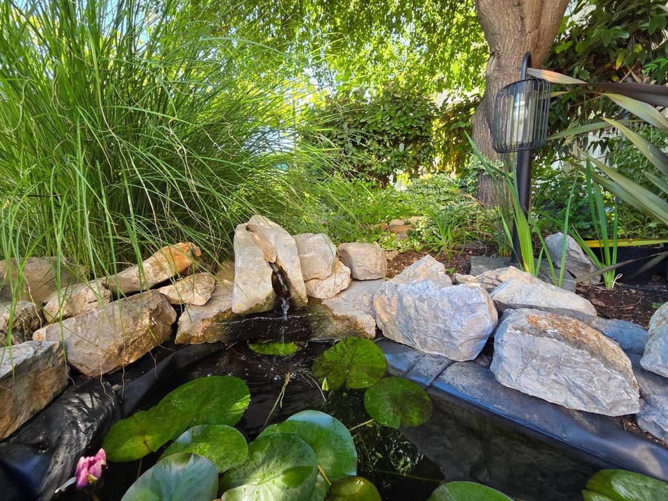 Garden, Garden