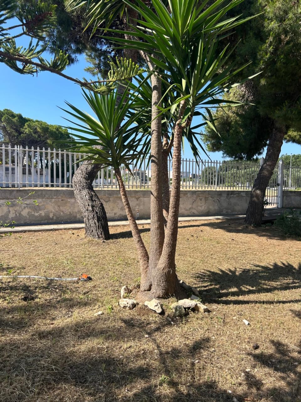 Villa Felice House in Province of Taranto