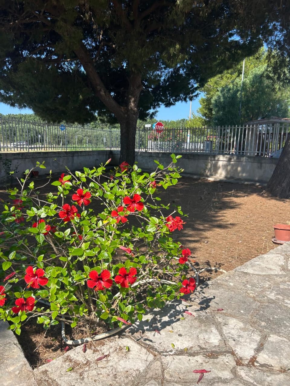 Villa Felice House in Province of Taranto