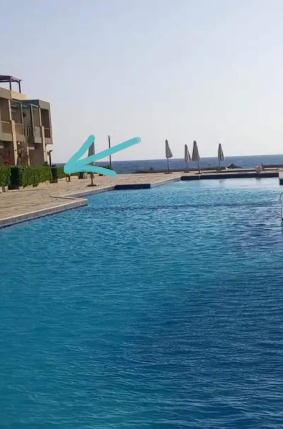 شاليه غرفتين ارضي بحديقه على البحر والبسين مباشرة بقرية كورنادو مارينا للعائلات فقط او جروب بنات فقط Apartment in Egypt