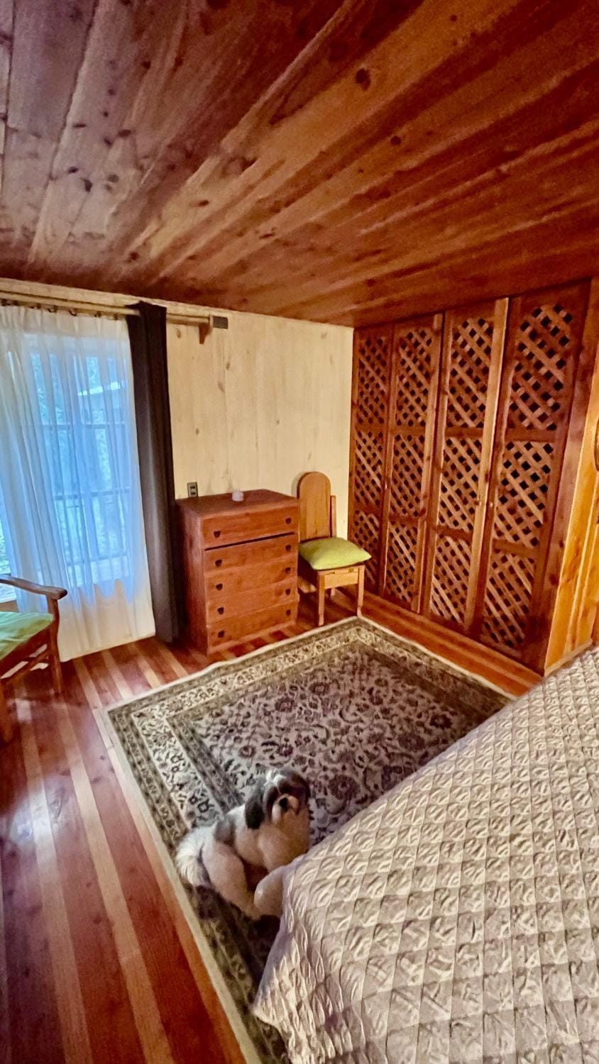 Jazz House Pucon Bed and Breakfast in Pucon