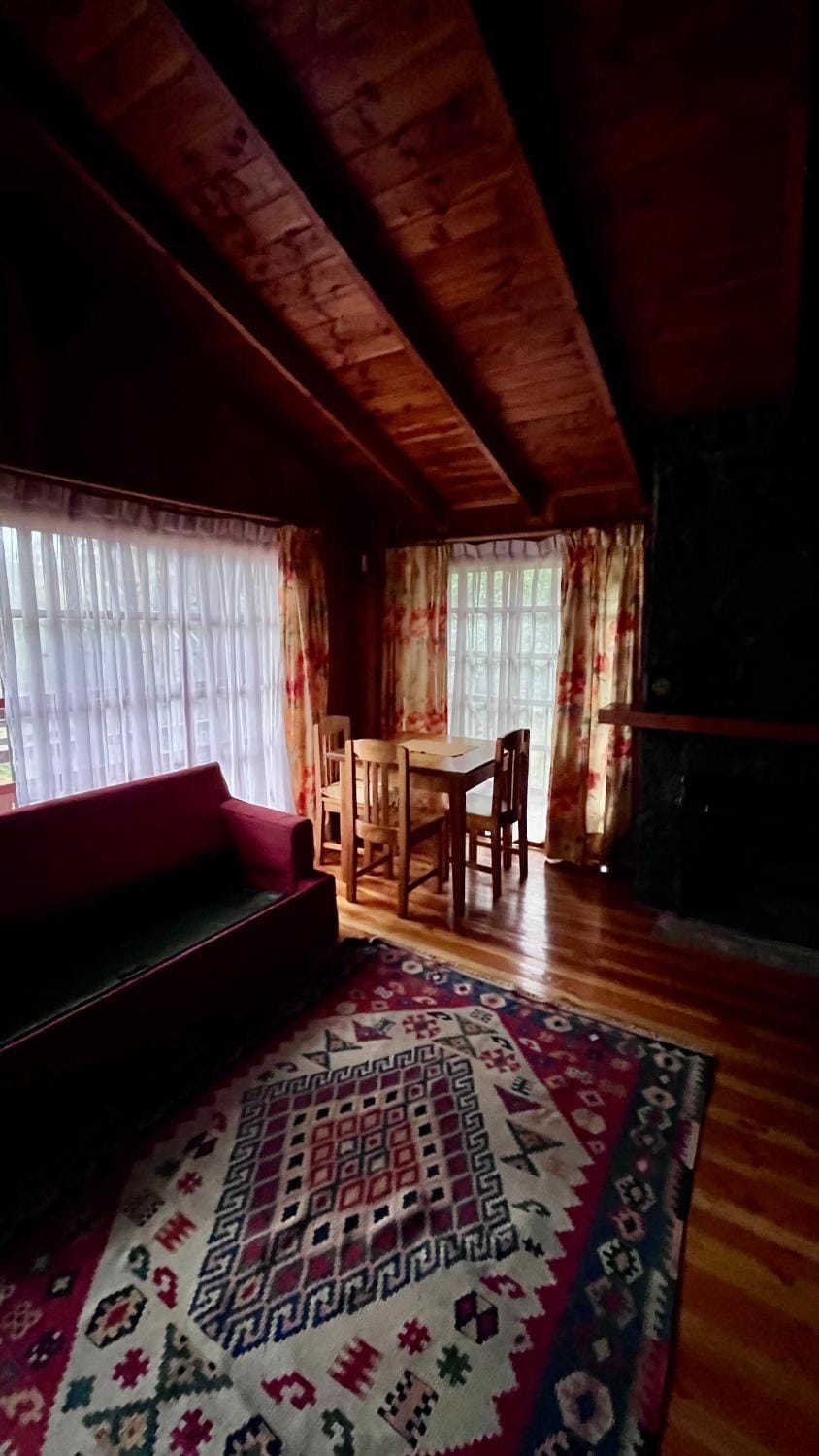 Jazz House Pucon Bed and Breakfast in Pucon