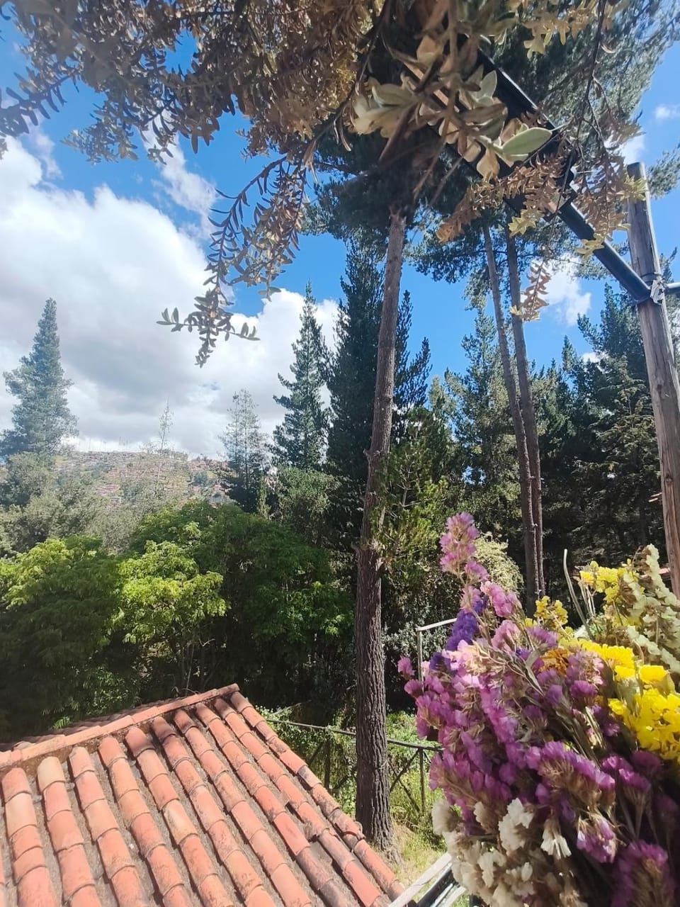 Cusco Forest Gem, 1 Min to Sacsayhuamán, Near the Main Square Chalet in Cusco