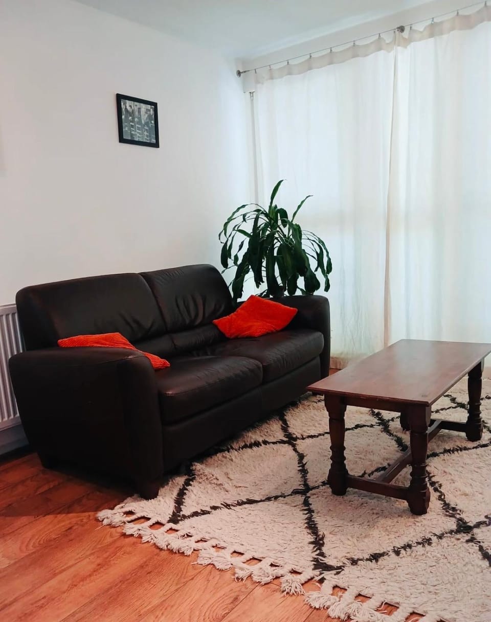 Cosy apartment London Apartment in London