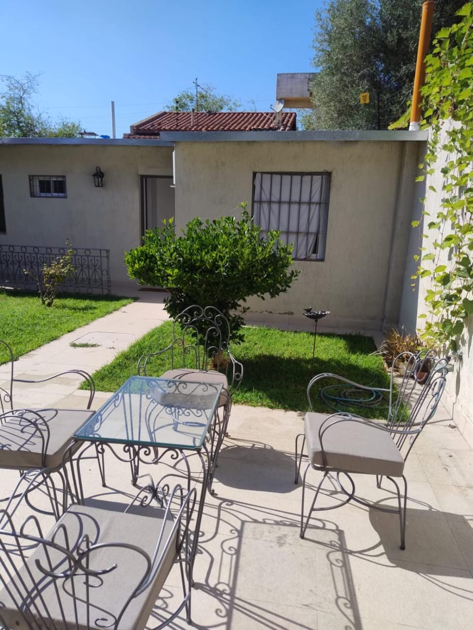 Patio, Day, Garden, Garden view