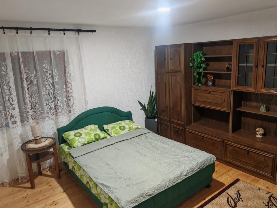 Apartman Darija Apartment in Serbia