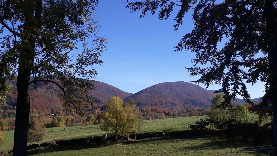 Neighbourhood, Natural landscape, Activities