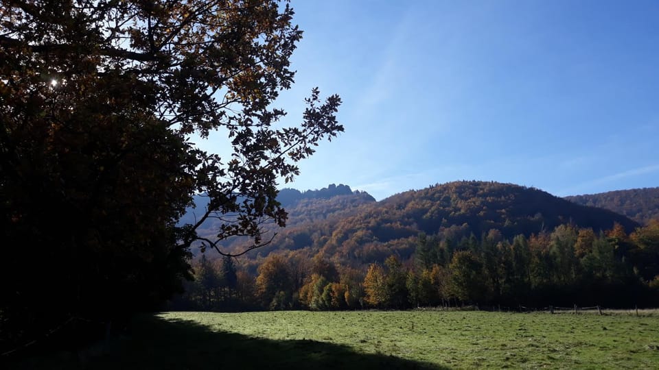 Neighbourhood, Mountain view