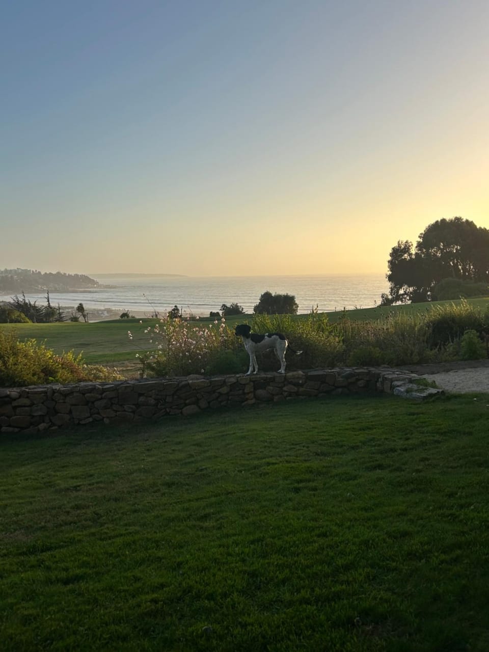 Natural landscape, Garden, View (from property/room)