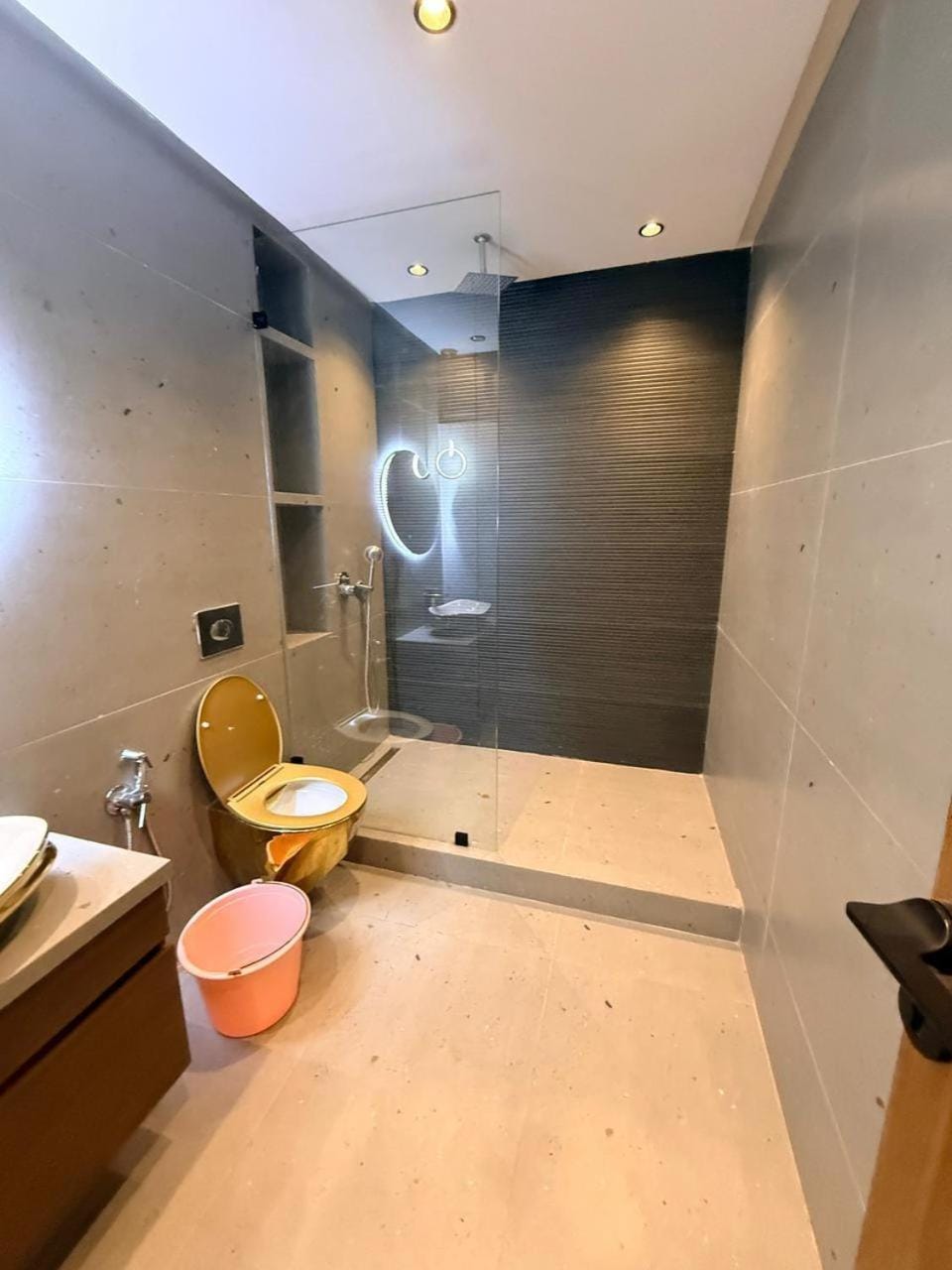 Shower, Toilet