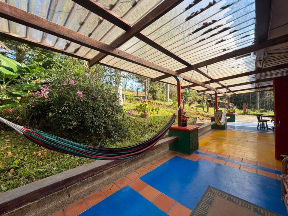 Day, Garden, Garden view