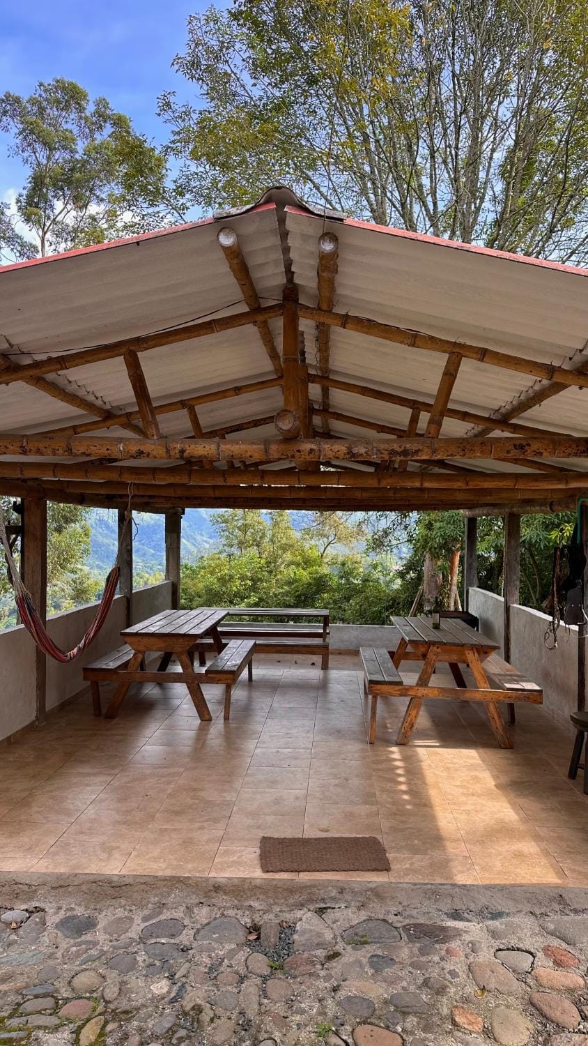 Patio, Natural landscape, Balcony/Terrace, Dining area