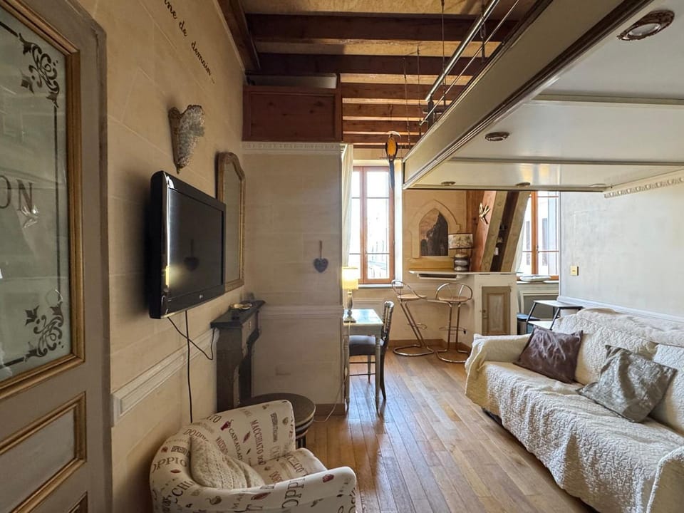 Appartement atypique, animaux - 2 pers., vue montagne et lac - FR-1-555-131 Apartment in Aix-les-Bains
