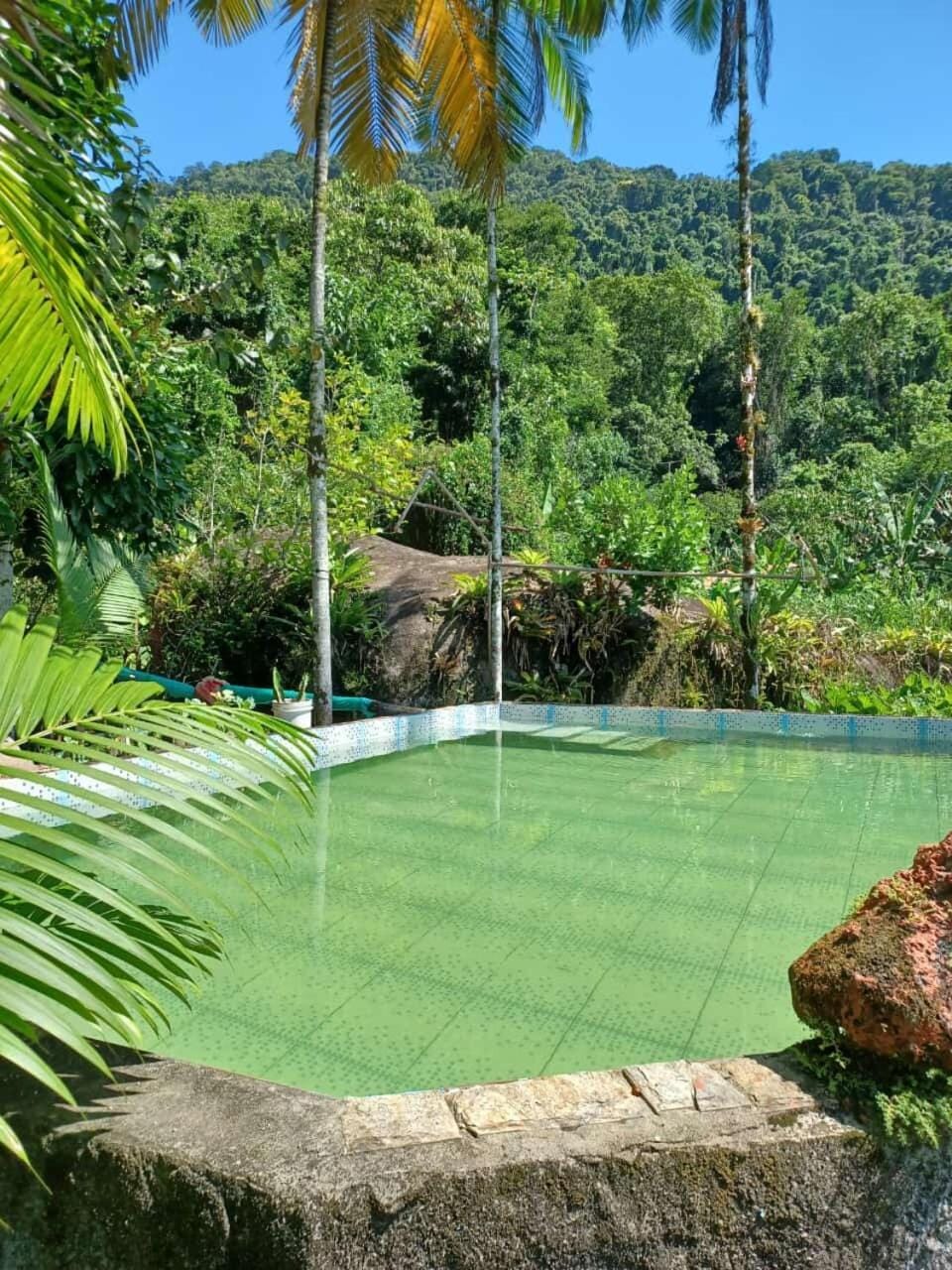 Pousada bar quintal da roça em Paraty RJ Fábio House in State of Rio de Janeiro