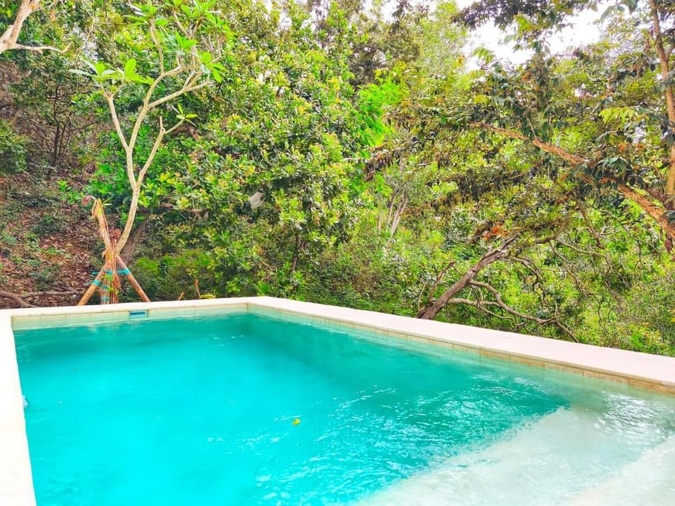Natural landscape, Pool view, Swimming pool
