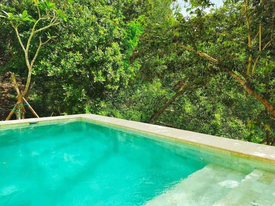 Pool view, Swimming pool