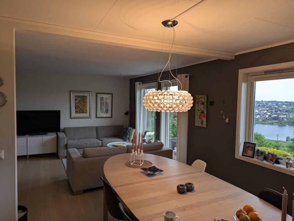 Living room, kitchen