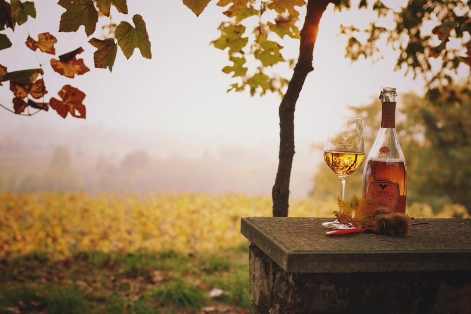 Drinks, Alcoholic drinks, Sunset