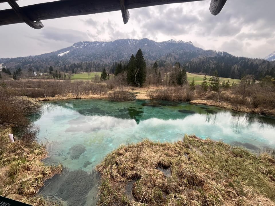Natural landscape
