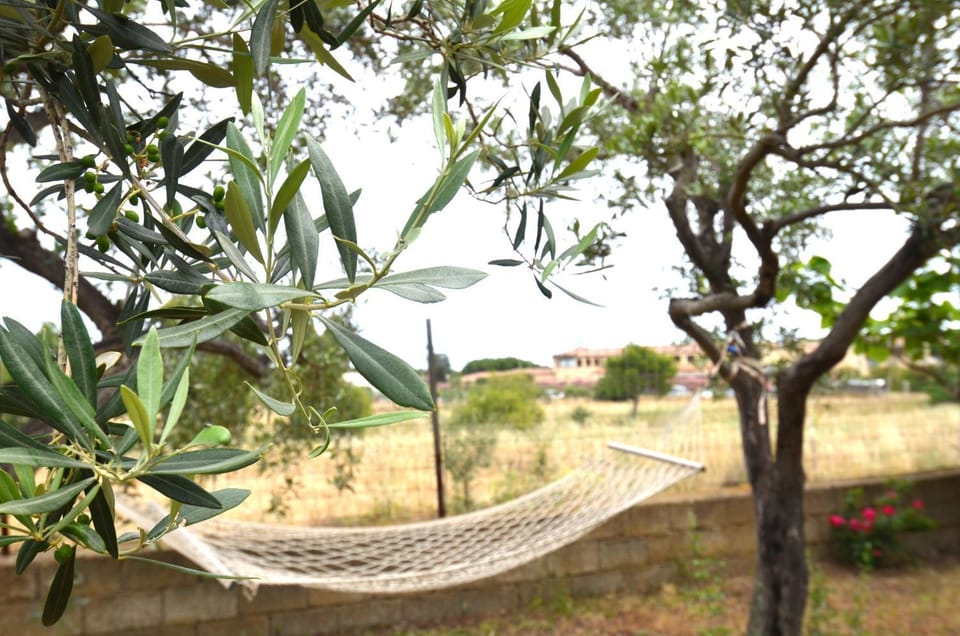 FMP-DEV01pt Chalet in Sassari