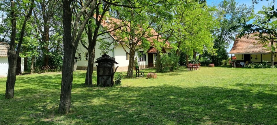 Salaš Šapat Ravnice House in Vojvodina