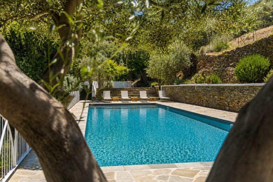 Spring, Pool view, Swimming pool, sunbed