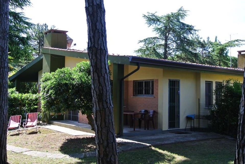Property building, Patio, Garden, Other, Garden view