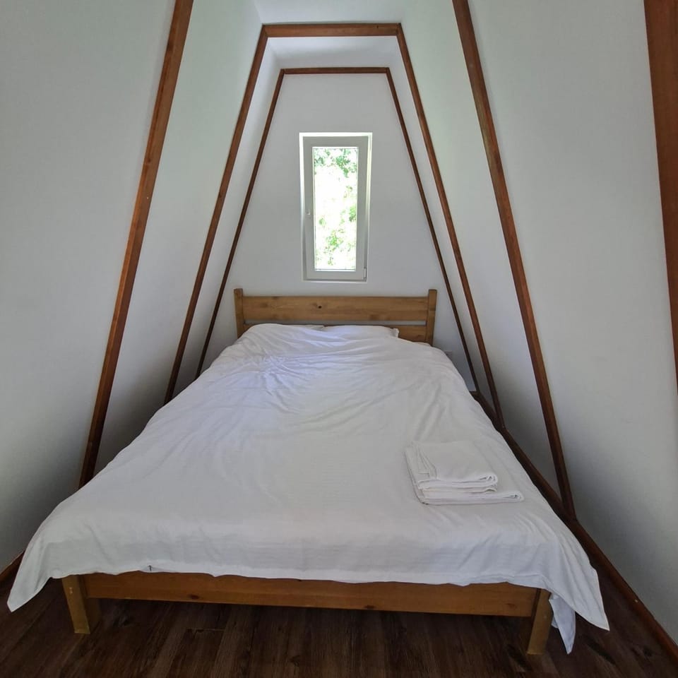 Silent A-FRAME House in Romania