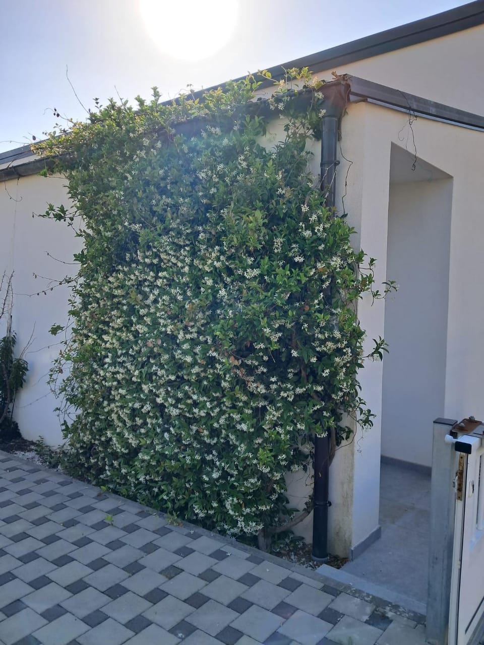 Villa Olea Apartment in Zadar County