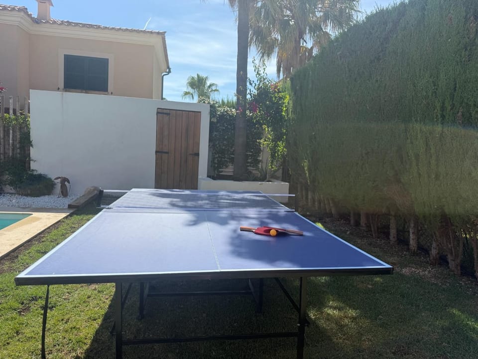 Table tennis, Table tennis