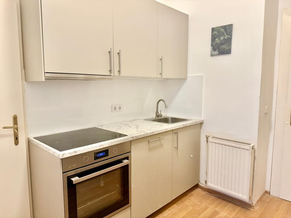 4 Bedroom Stylish Apartment with Shared Backyard Apartment in Vienna