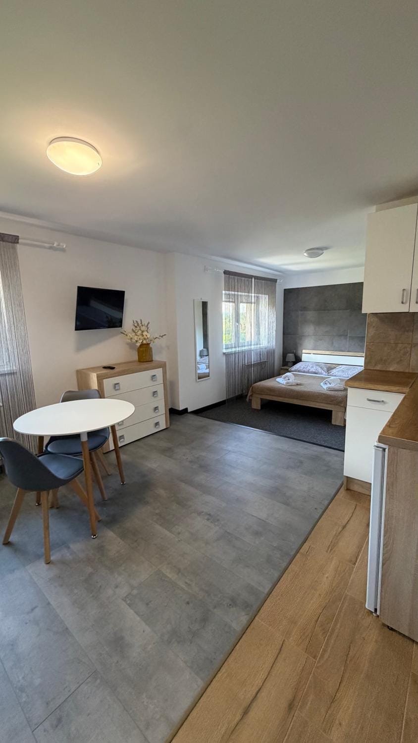 Bed, TV and multimedia, Kitchen or kitchenette, Photo of the whole room, Seating area, Bedroom