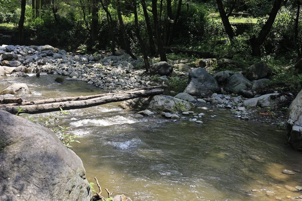River view