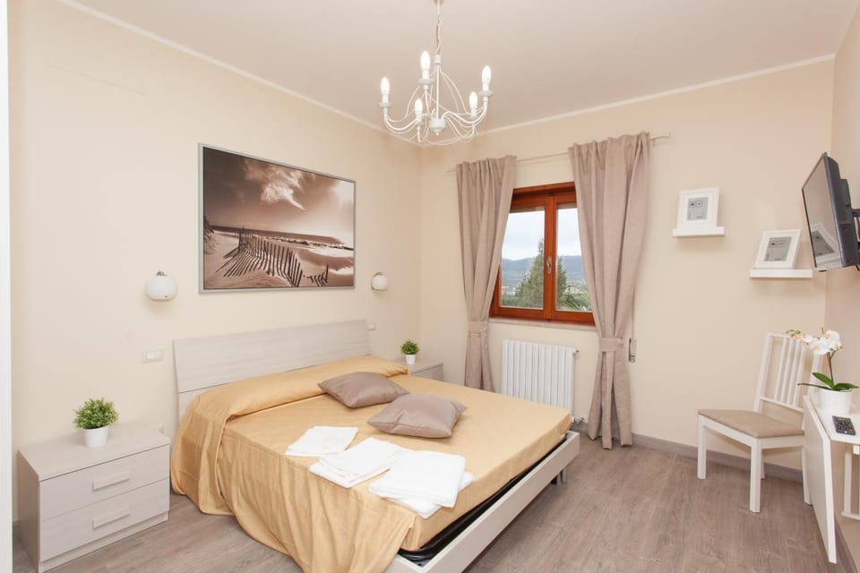 Bed, Photo of the whole room