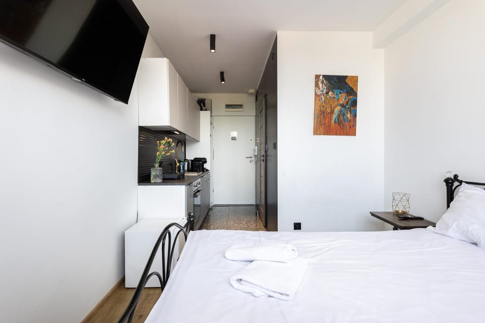 Bed, TV and multimedia, Kitchen or kitchenette, Photo of the whole room, Decorative detail, oven, towels