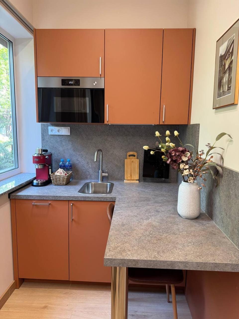 Coffee/tea facilities, Kitchen or kitchenette, pet friendly, stove