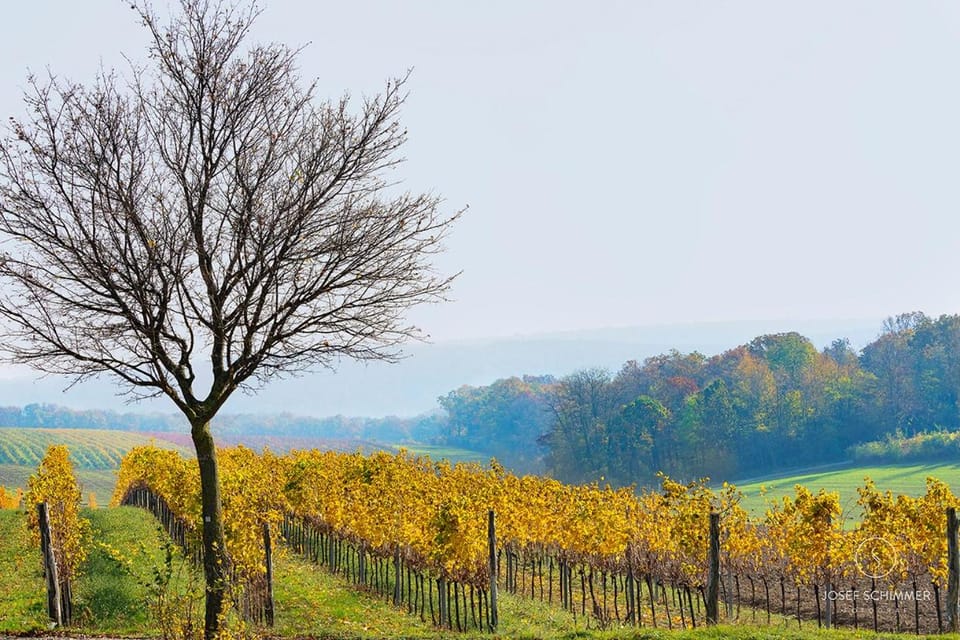 Natural landscape
