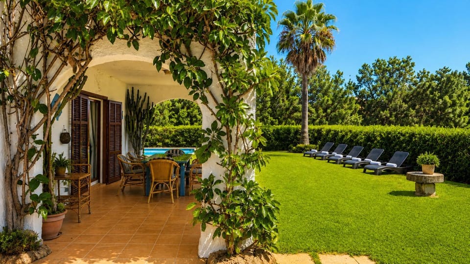 Patio, Garden, Garden view