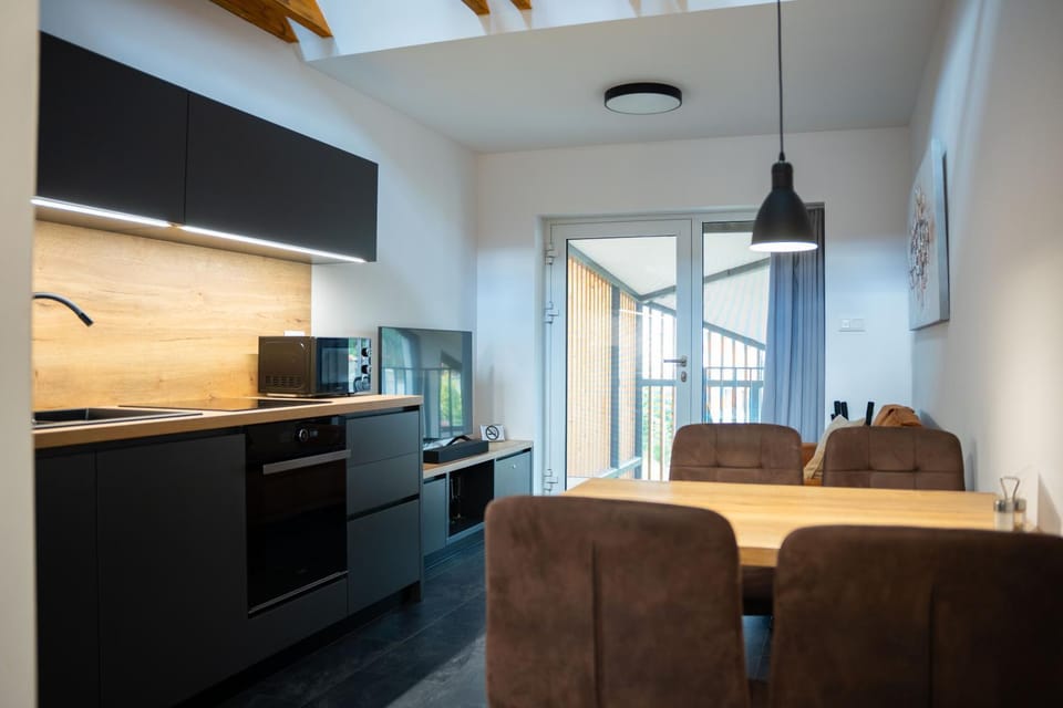 Kitchen or kitchenette, Dining area, oven, stove