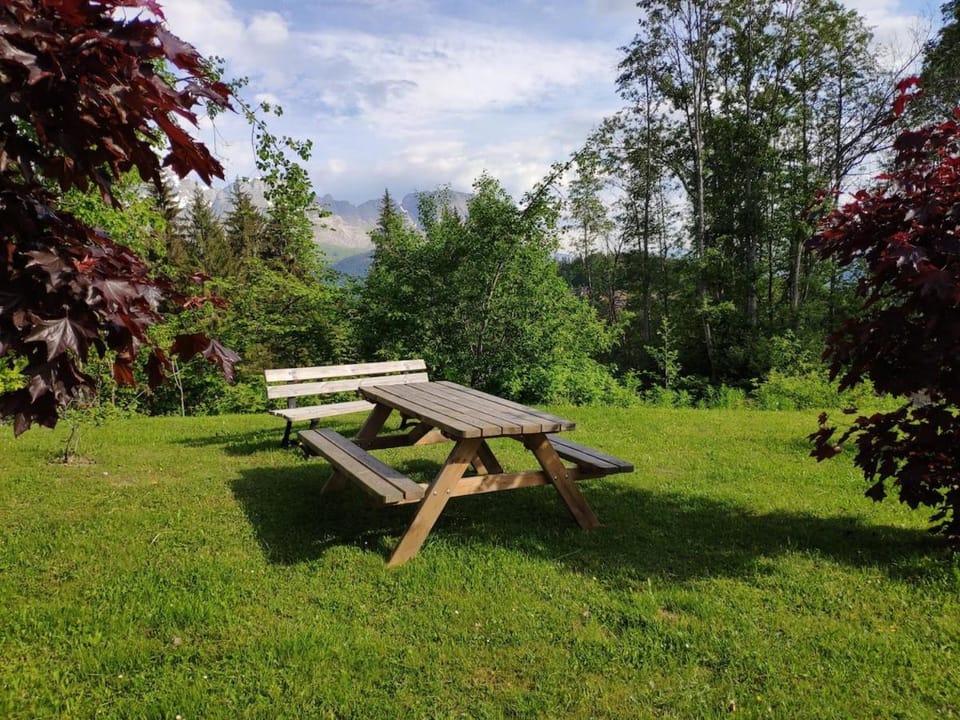 Appartement cosy, style montagnard et moderne Apartment in Combloux