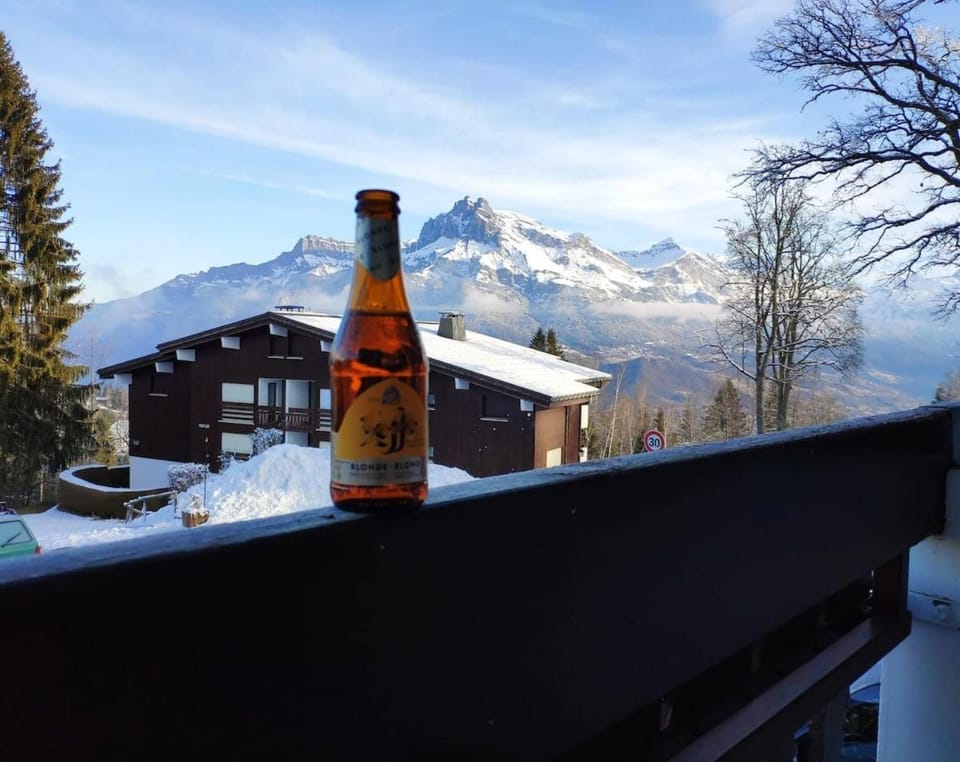 Appartement cosy, style montagnard et moderne Apartment in Combloux