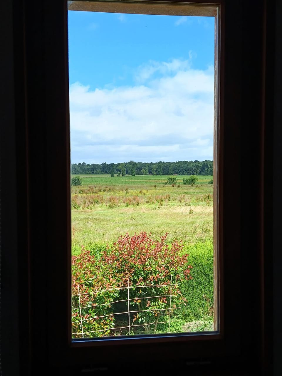 Natural landscape, View (from property/room)