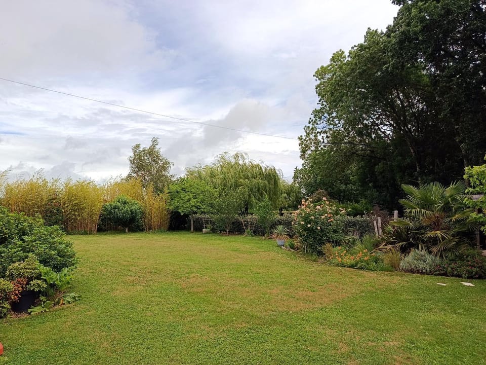 Garden, Garden view