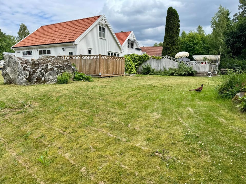 Property building, Day, Garden view