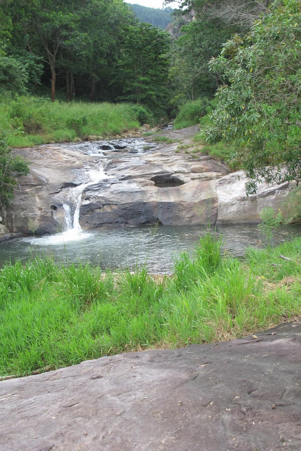Natural landscape