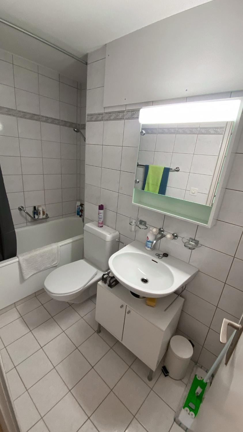 Charmantes Studio Apartment in Canton of Bern (Region)