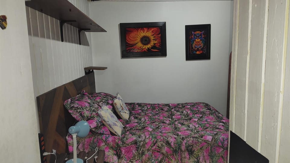 Cabaña acogedora Apartment in Osorno